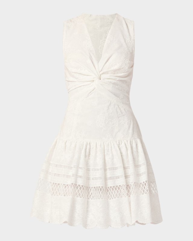 Genivieve Floral-Embroidered Flounce Mini Dress